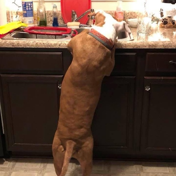 Meet your Posher, CathyBunny - Picture 8 of 16